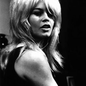 Bardot Wall Plexiglass 100x120