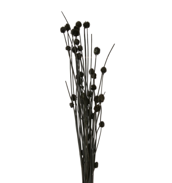 BOLLBLOMMA  SVARTA