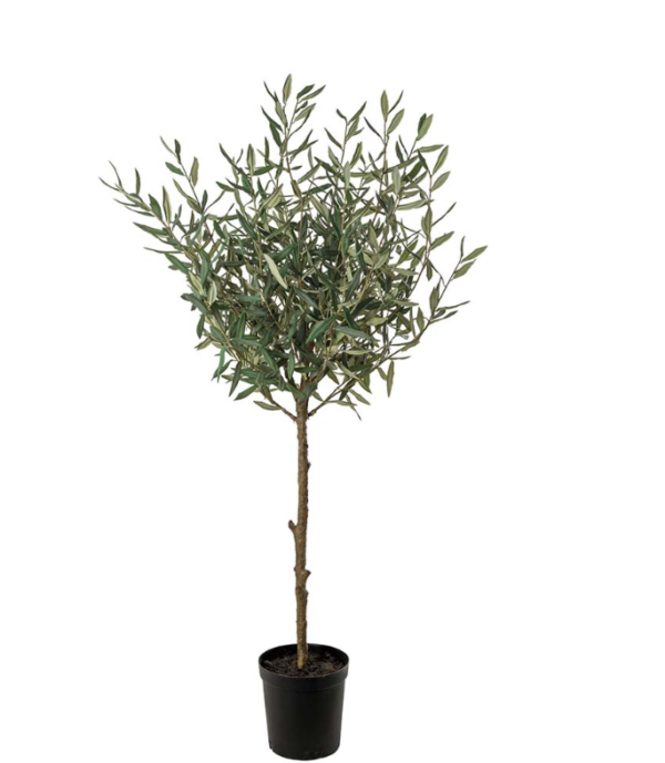 Olivträd 150 cm konstväxt