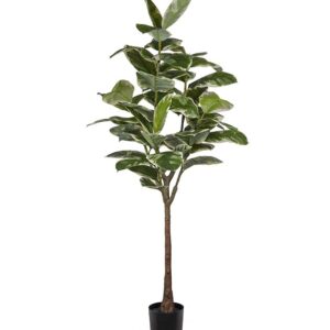 Fikus Elastica konstväxter 190 cm