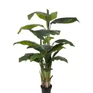 Bananträd konstväx 150 cm